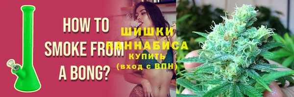 PSILOCYBIN Бородино