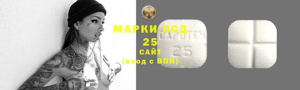 PSILOCYBIN Бородино