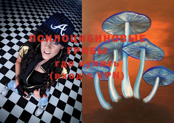 PSILOCYBIN Бородино