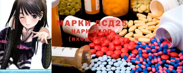 PSILOCYBIN Бородино