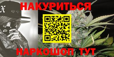 mdpv Краснознаменск