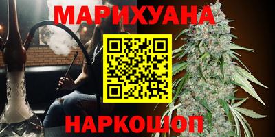 mdpv Краснознаменск