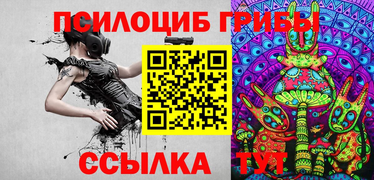 Псилоцибиновые грибы мухоморы Минеральные Воды