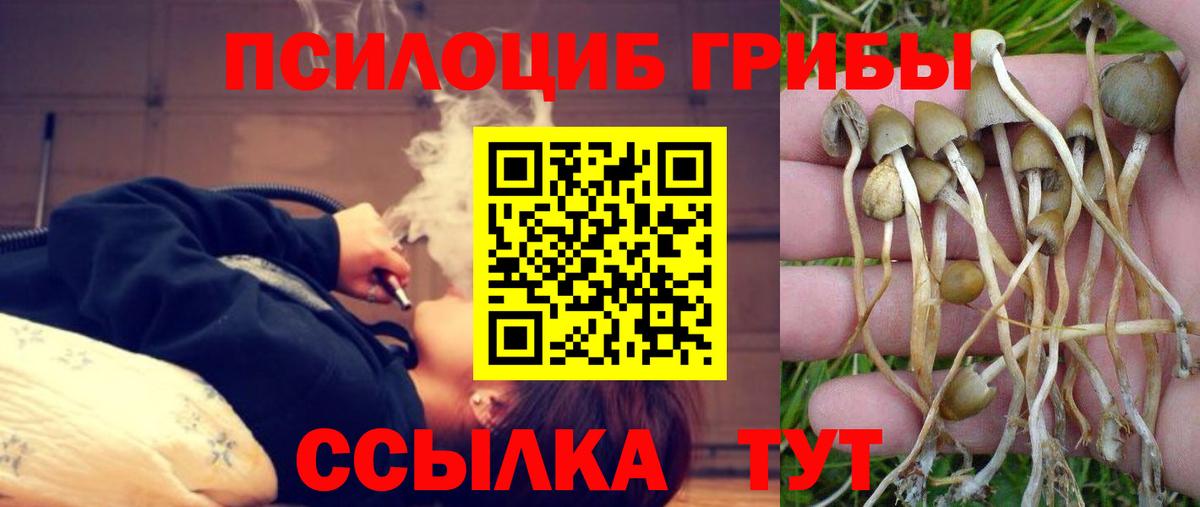 Галлюциногенные грибы мицелий  Вход с VPN  Минеральные Воды  Псилоцибиновые грибы Magic Shrooms 