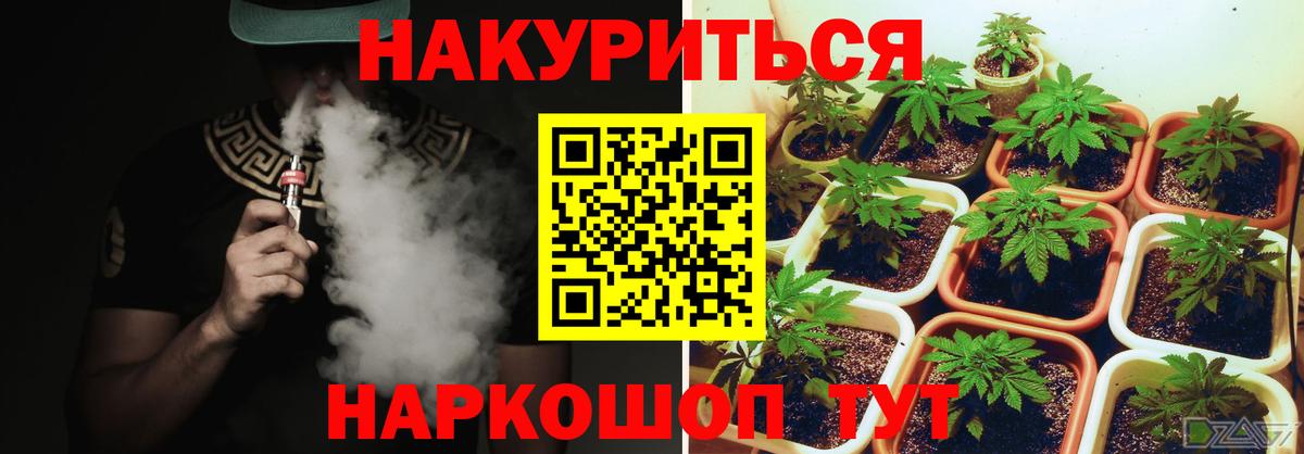 Шишки марихуана конопля Минеральные Воды